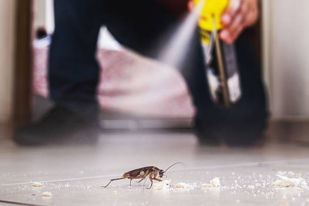 Best Pest Control for Businesses  in Barre, VT