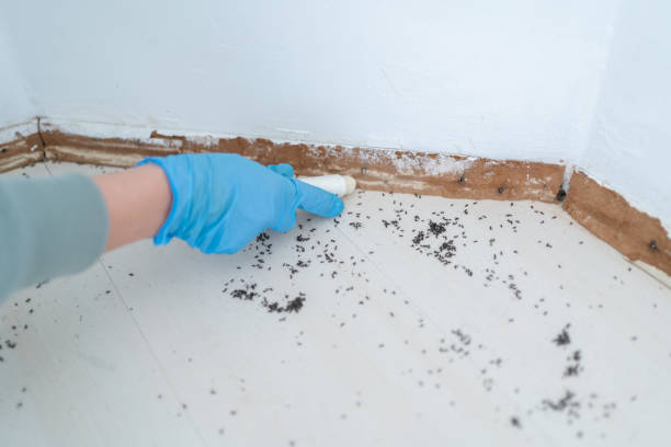 Best Affordable Exterminators  in Barre, VT